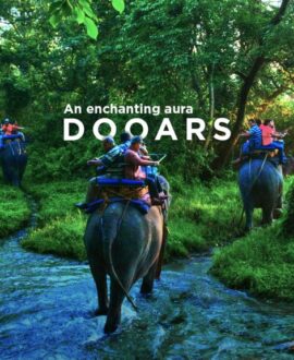 Dooars